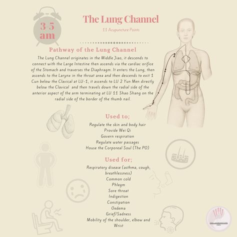 Meridian Channels, Lung Meridian, Accupuncture Points, Chakra Energy, Acupuncture Points, Large Intestine, Qi Gong, Chinese Medicine, Holistic Healing