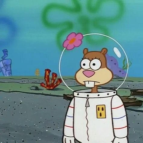 Sandy Cheeks Wallpaper, Sandy From Spongebob, Spongebob Stills, Spongebob Collection, Spongebob Theme, Spongebob And Sandy, Basketball Pictures Poses, Spongebob Pics, Spongebob Cartoon