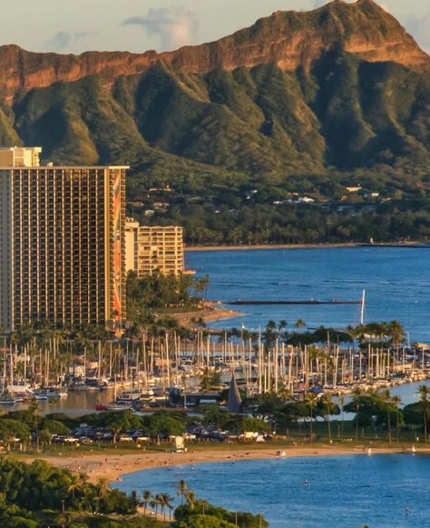 Tourism Hawaii on Instagram: “Many thanks for the photo to @benjibarnesoahu⁠ ⁠ ⁠ Tag someone that you would love to go to Hawaii with!!⁠ ⁠ Follow @travelthesights for…” Uh Manoa, Ala Moana Beach, Hilton Hawaiian Village Waikiki, The Big Island Hawaii, Hawaiian Resorts, Hilton Hawaiian Village, Christmas Tree Theme, Ala Moana, Home Christmas Decor