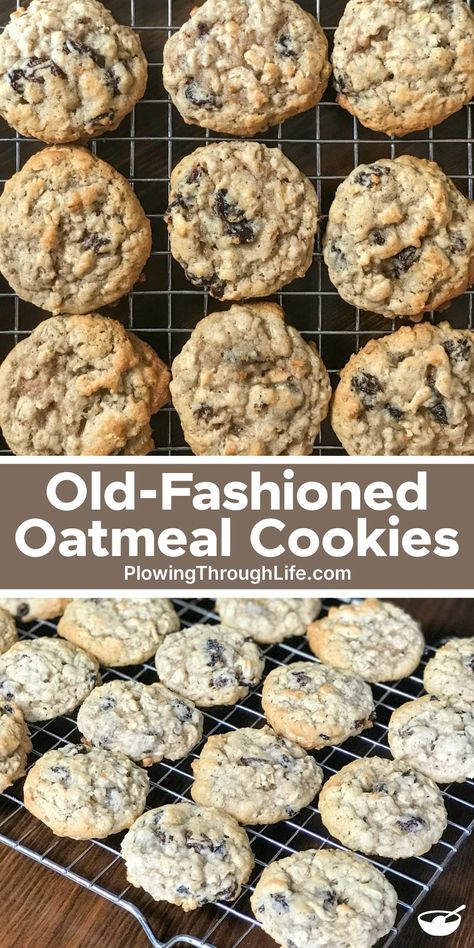 Famous Oatmeal Cookies, Homemade Oatmeal Raisin Cookies Recipe, Honey Oatmeal Raisin Cookies, Grandma's Oatmeal Raisin Cookies, Oatmeal Raisin Nut Cookies, Old Fashion Oatmeal Raisin Cookies, Oatmeal Raisin Cranberry Cookies, Crumbl Cookie Copycat Oatmeal Raisin, Crispy Oatmeal Cookies Recipes