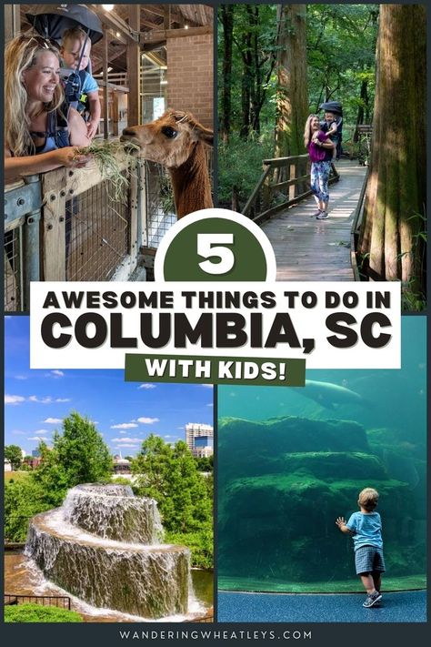 Planning a South Carolina family vacation? Discover the 5 best things to do in Columbia, South Carolina with kids, from museums to parks in Columbia! I what to do with kids in Columbia I family activities in Columbia I things to do with kids in South Carolina I things to do in South Carolina I what to do in South Carolina I places to go in South Carolina I USA travel I South Carolina attractions I activities in Columbia I where to go in South Carolina I #Columbia #SouthCarolina #familytravel South Carolina Family Vacation, South Carolina Things To Do, Columbia South Carolina Things To Do, Things To Do In Columbia Sc, Columbia Sc Things To Do In, Things To Do In South Carolina, Vacation 2025, Charleston Hotels, Congaree National Park