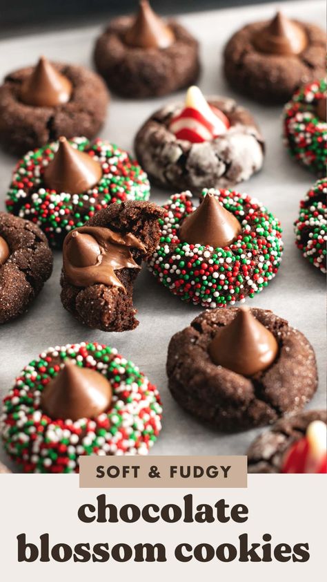 These chocolate blossom cookies are an easy twist on classic peanut butter blossoms but for chocolate lovers! They're soft and fudgy chocolate cookies with Hershey's kisses pressed into the middle. They're the easiest holiday cookies you'll make. #holidaycookies #blossomcookies #cookies | teakandthyme.com Chocolate Peanut Butter Blossoms, Peanut Butter Cookies With Chocolate Kisses, Chocolate Rolled Cookies, Brownie Blossom Cookies, Hershey Hugs Cookies, Christmas Blossom Cookies, Blossom Cookie Recipes, Lindor Cookies, Pb Blossom Cookies