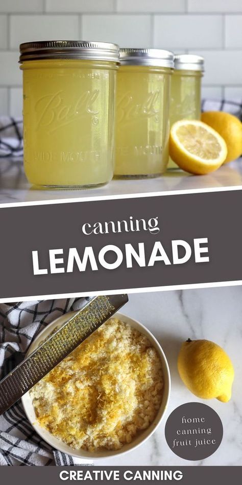 Things To Make With Lemon Juice, Canned Lemonade Concentrate, Water Bath Canning Juice, Lemon Canning Recipes, Canned Fruit Juice, Canning Fruit Juice, Canning Juice Concentrate, Canning Lemonade Concentrate, Canning Juice Recipes