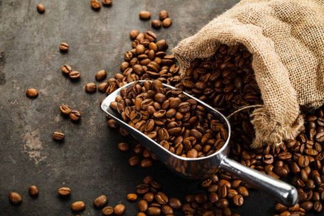 5 Tips For Storing Coffee! Brain Boosting Foods, Coffee Hair, Arabica Coffee Beans, Gourmet Coffee, Arabica Coffee, Coffee Type, Buy Coffee, Speciality Coffee, Coffee Roasting