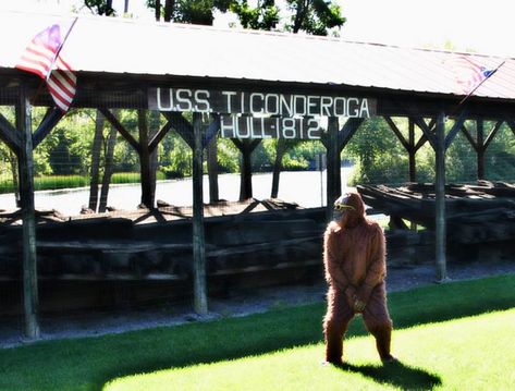 There’s A Bigfoot Festival Happening In New York And You’ll Want To Go Bigfoot Festival, Bigfoot Sightings, Mountain Town, New York Travel, In The Heart, Horses, New York, Festival, The World