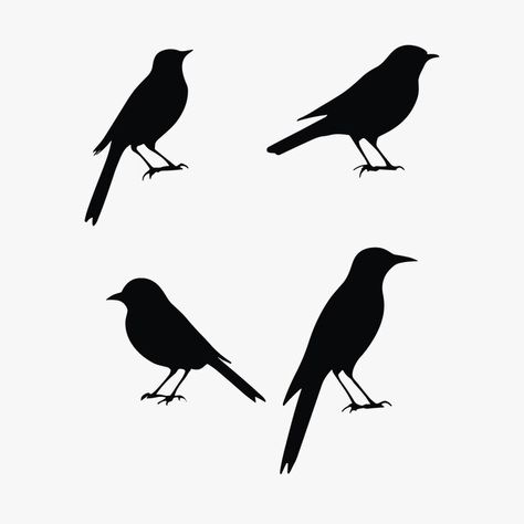 Bird silhouette set black and white vect... | Premium Vector #Freepik #vector #ecology #bird #symbol #symbols Bird Symbol, Bird Silhouettes, Bird Vector, Black And White Vector, Photoshop Design Ideas, Bird Silhouette, Photoshop Design, Black Bird, Ecology