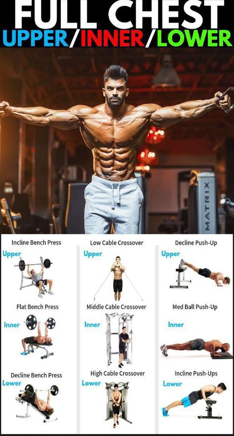 Best Chest Workout Routine, Workout Techniques, Best Chest Exercises, Workout Chest, Chest Workout For Men, Chest Workout Routine, Workout Man, Exercise Workouts, Chest Exercises