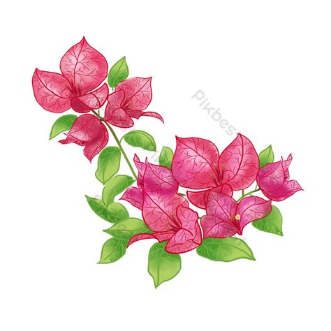 Mamma Mia Flowers Drawing, Bougainvillea Drawing, Ready Rangoli, Visual Library, Kurti Embroidery, Beautiful Flower Drawings, Desert Landscapes, Flower Drawings, Flower Graphic Design