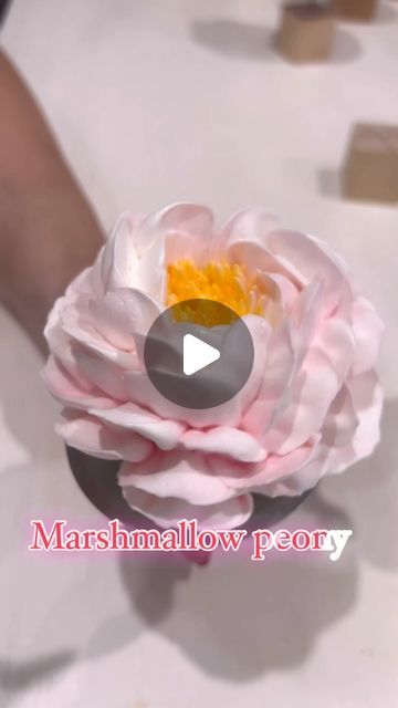 Zhanna Kazantseva  Marshmallow flowers artists  Online classes on Instagram: "Marshmallow floristry is a new trend in confectionery. Currently, very few artists have mastered this technique. Want to be one of them? Join my online courses, and I’ll teach you how to create beautiful marshmallow flowers with a pleasant, delicate taste. The best part is that marshmallow is a diet-friendly dessert—free of fats, lactose, gluten, and gelatin.  Ingredients include egg whites, sugar, fresh fruits and berries, and agar-agar." Diet Friendly Desserts, Marshmallow Flowers, How To Make Marshmallows, Flower Artists, Agar Agar, Fresh Fruits, New Trend, Egg Whites, Online Classes