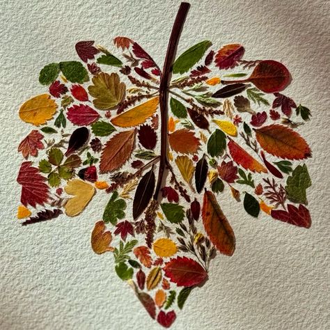 Pressed flower art tiny autumn leaves Autumn School Decoration, Art Made From Nature, Autumn Eyfs Activities, Fall Leaves Decor, Fall Leaves Art, Collage Autumn, Leaves Collage, Diy Seasonal Decor, Fall Leaf Decor