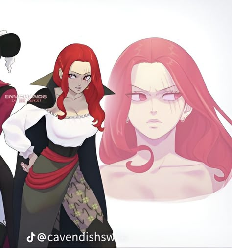 Fem Shanks, One Piece Genderbend, Bonney One Piece, Avatar Animals, One Piece Series, One Piece Cartoon, One Piece Ship, Female Character Concept, One Piece Icons