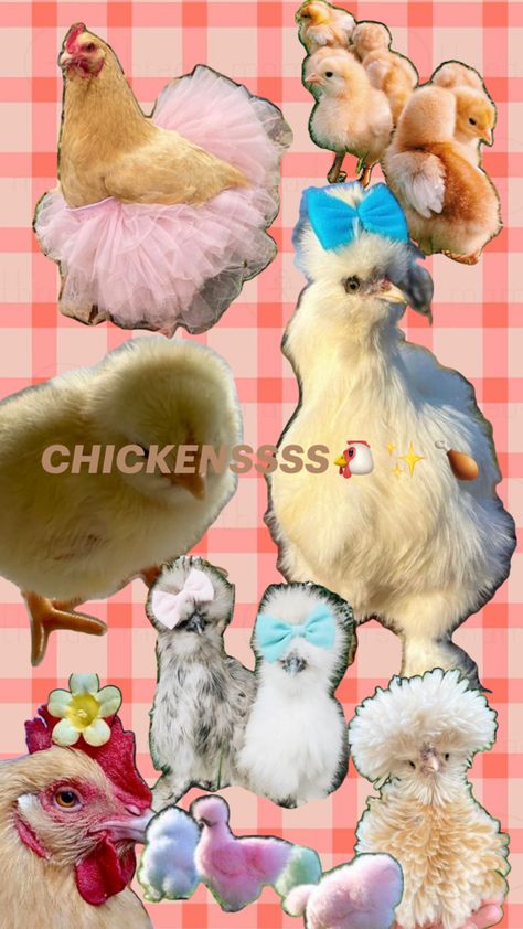 I loooooveee chickens Chicken Collage, Chicken, Collage