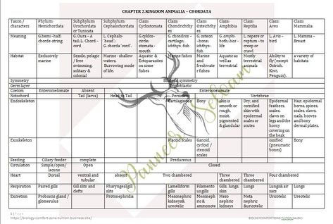 Exam Motivation Quotes, Learn Biology, Army Crafts, Basic Anatomy, Human Biology, Basic Anatomy And Physiology, Exam Motivation, Kingdom Animalia, Biology Notes