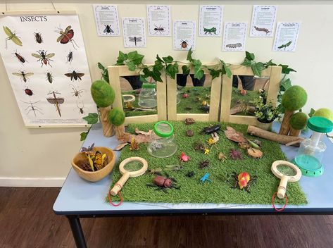 Aboriginal Activities For Toddlers, Abordagem Reggio Emilia, Nature Based Classroom, Plants Classroom, Science Area, Insect Activities, Eyfs Classroom, Reggio Classroom, Preschool Rooms