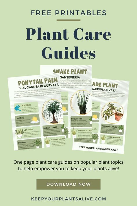 Plant Care Cards Free, Plant Care Guide Printable, Plant Care Printable, Printable Plant Care Cards, House Plant Care Guide, Free Plant Printables, Plant Identification Chart, Plant Care Cards, Pitcher Plant Care