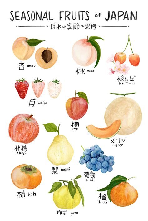 Seasonal Fruits of Japan at ArtfullyWalls, A botanical illustration featuring a selection of seasonal fruits available in Japan, labeled in kanji (with English pronunciation) Rethink Your Drink, Bahasa Jepun, Materi Bahasa Jepang, Japanese Language Lessons, Seasonal Fruits, Learn Japanese Words, Japanese Language Learning, Japanese Phrases, Foreign Language Learning