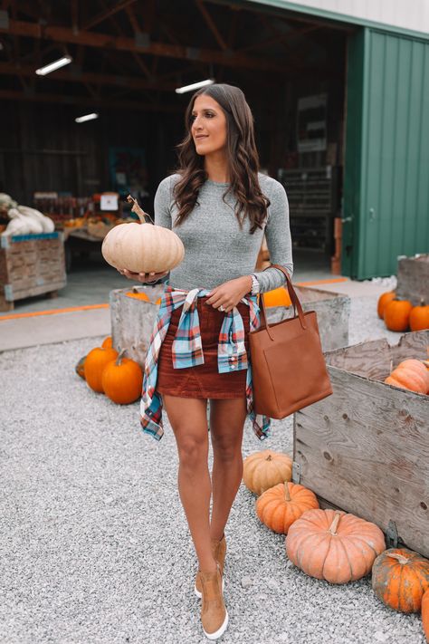 Cognac Handbag, Pumpkin Patch Photoshoot, Patch Outfit, Pumpkin Patch Outfit, Fall Flannel, Skirt Outfits Fall, Patch Dress, Fall Fashions, Rock Outfit