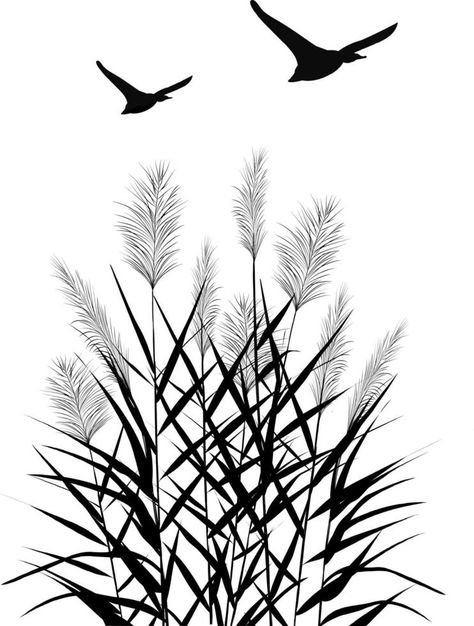 Black silhouette of reeds, sedge,  stone,cane, bulrush, or grass on a white background.Vector illustration. Scrapbooking Printables, Grass Vector, Vector Nature, Scrapbook Printables, Black Silhouette, Nature Design, A White Background, Vector Background, White Background