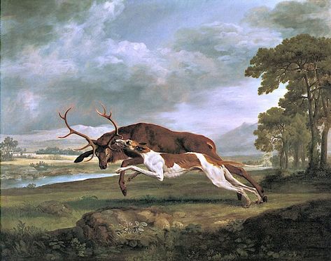 painters George Stubbs, Animal Painter, Philadelphia Museum Of Art, A Deer, Oil Painting Reproductions, A4 Poster, Painting Reproductions, Art Google, Animal Paintings