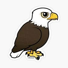 Eagle Sticker, Cute Eagle Drawing, Cartoon Eagle, Cute Eagle, Eagle Clipart, Eagle Drawing Easy, Eagle Cartoon, Bold Eagle, Eagle Mascot