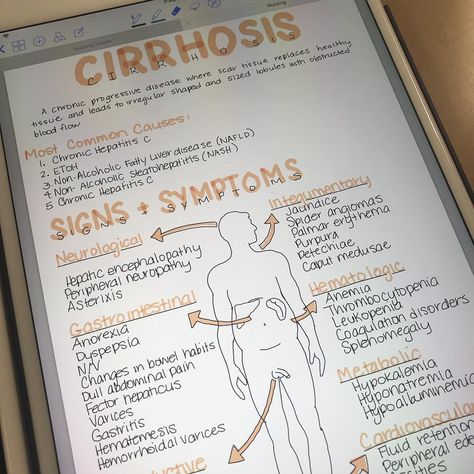 Liver Physiology Notes, Liver Nursing Notes, Liver Nursing, Liver Notes, Cirrhotic Liver, Medsurg Nurse, Simple Nursing, Nurse Notes, General Medicine