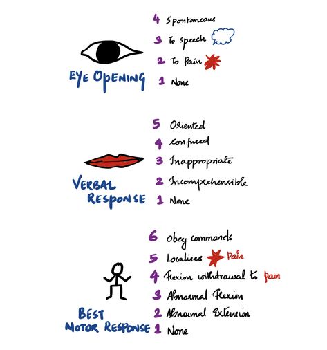 Paramedic Study, Med Notes, Glasgow Coma Scale, Nursing Cheat Sheet, Medical Sonography, Ems Humor, Nursing Cheat, Diagnostic Medical Sonography, Nursing School Motivation