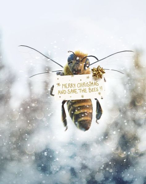 Bee Quotes, Bee Artwork, Bee Friendly Garden, Bee Pictures, Honey Shop, I Love Bees, Norman Vincent Peale, Bee Inspired, Bee Friendly