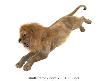 Lion Jumping, Lion Photos, Jump Animation, Lion Dragon, Ombre Wallpaper Iphone, Lions Photos, Ombre Wallpapers, Male Lion, Lion Images