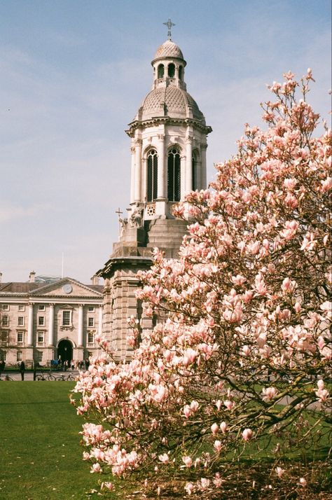 Trinity College Dublin Dorm, Trinity College Dublin Aesthetic, Masters Abroad, Trinity Dublin, Dublin Aesthetic, Ireland Spring, Ireland 2023, Irish Goodbye, Summer Posters