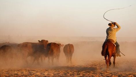 Sir Sidney Kidman cattle stations in outback Australia for sale Cattle Station, Station Photography, Australian Landscapes, Cobblestone Path, Rural Photography, Australian Farm, Cowgirl Life, Australian Country, Cattle Drive