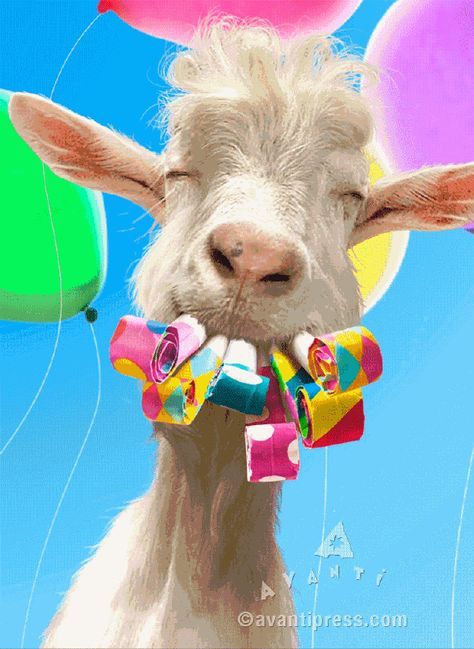 Happy Birthday Goat, Birthday Wishes For Kids, Party Blowers, Birthday Greetings Funny, Happy Birthday Vintage, Birthday Greetings Friend, Make Some Noise, Happy Birthday Art, Happy Birthday Greetings Friends