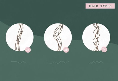 Type 2c Hair, Type 2b Hair, Type 2a Hair, Hair Type Chart, 2a Hair, Hair Plopping, Conditioner Curly Hair, Scrunched Hair, High Porosity Hair