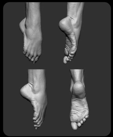 Feet Anatomy Reference Study, Feet Sculpture Anatomy, Feet Anatomy Reference, Feet Reference Anatomy, Human Anatomy Reference Photography, Leg Sculpture, Feet Anatomy, Anatomy Tips, Zbrush Anatomy