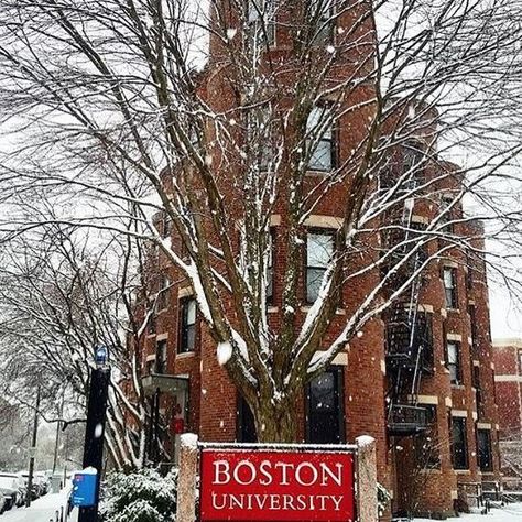 Boston University Campus Aesthetic, Boston University Aesthetic, Boston Quotes, Boston University Campus, Better In Boston, Masters In Education, Boston Wallpaper, Boston Aesthetic, Boston Winter