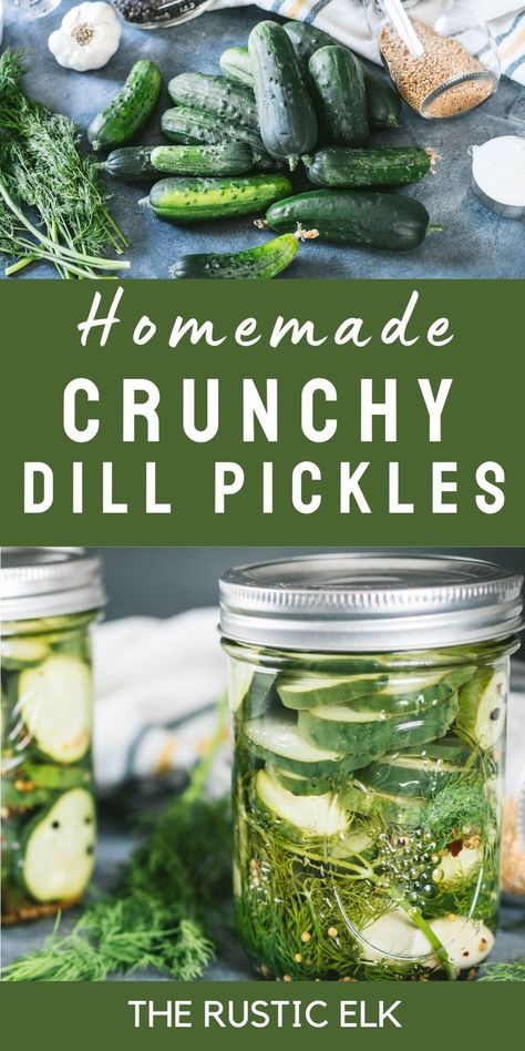 Delicious, crispy, and perfect this dill pickle recipe is the perfect blend of dill and seasonings to give you the best flavor, ever. Instructions to make easy quick pickles or go the extra step to make shelf stable dills with a canning steps you'll never buy storebought again! How To Use Alum In Pickles, Dill Pickling Recipes, How To Can Crispy Dill Pickles, Pickle Canning Recipes Dill, Crunchy Canned Pickles, Crisp Pickles Canning, Canning Dill Pickles Recipe Crunchy, Crispy Canned Dill Pickles, Best Crunchy Dill Pickle Recipe