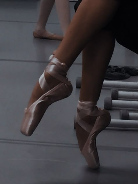 Greta Falcone | Sins of the Fathers - Cora Reilly Aesthetic Ballerina, Greta Falcone, Ballerina Aesthetic, Ballet Aesthetic, Ballet Pictures, Dance Dreams, Ballet Inspiration, Black Ballerina, Cora Reilly