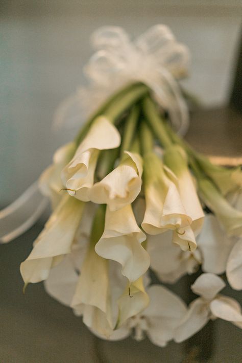 Wedding bouqet | Calla Lilly Cali Lilly, Calla Lillies Bouquet, 10 Reasons, Calla Lily, Cali, Lily, Cream