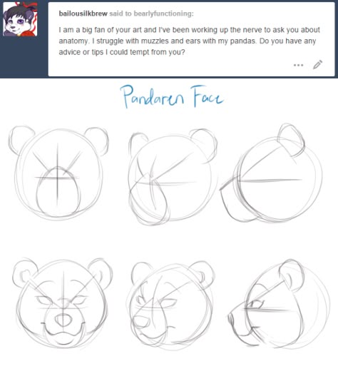 Bear Reference, Drawing Advice, Bear Character Design, Anatomy References, Panda Drawing, Waffle Fries, Animal Drawings Sketches, Bear Drawing, Drawing Examples