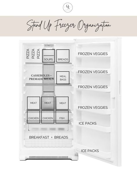 Freezer Organization | Stand Up Freezer | Drawer Freezer Organization | Side-by-Side Freezer | How to Organize My Freezer — Organize Nashville Side By Side Freezer Organization, Drawer Freezer Organization, Top Freezer Organization, Organizing Freezer, Side By Side Fridge Organization, Stand Up Freezer, Garage Freezer, Deep Freezer Organization, Organize Fridge