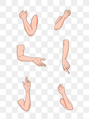 2d Animated Characters, Arm Illustrated, Arm Animation, Hand Character Design, 2d Animation Characters, Animated Hands, Cartoon Arms, Transparent Character, Body Animation