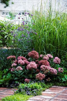 Australian Garden Design, Australian House, Australian Native Garden, Dry Garden, Australian Garden, House Gardens, Have Inspiration, Garden Show, Native Garden