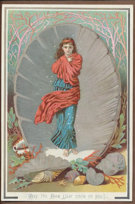 Victorian Christmas card girl in shell Vintage New Years Cards, Mermaid Palace, Painting Mood Board, Happy New Year Vintage, Vintage New Years, Weird Christmas, Victorian Christmas Cards, New Year Vintage, Victorian Cards