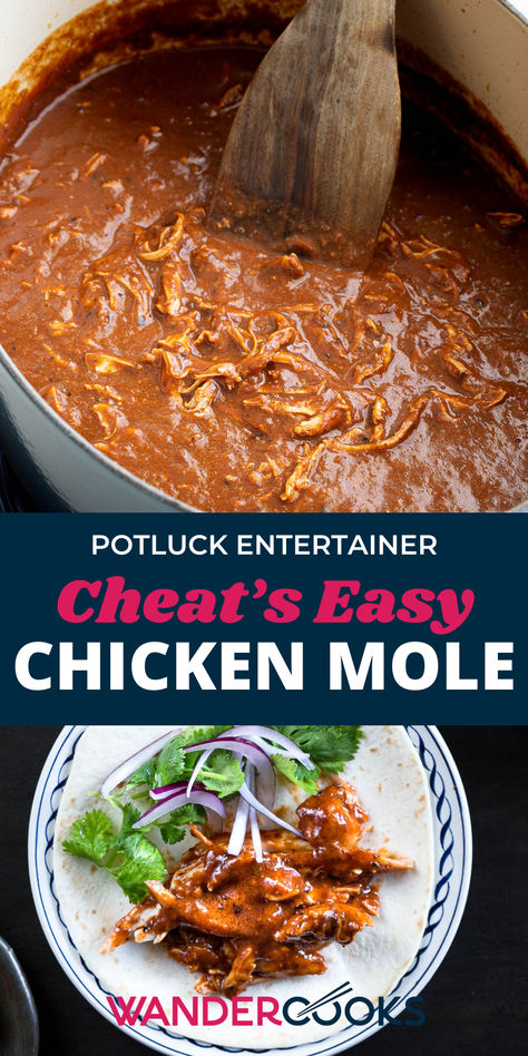 A large pot of chicken mole and a soft taco with chicken mole, coriander and red onion. Mexican Chicken Mole, Chicken Mole Recipe, Easy Mexican Chicken, Chocolate Chicken, Mexican Mole, Mole Recipe, Chicken Mole, Mole Sauce, Mexican Dessert Recipes