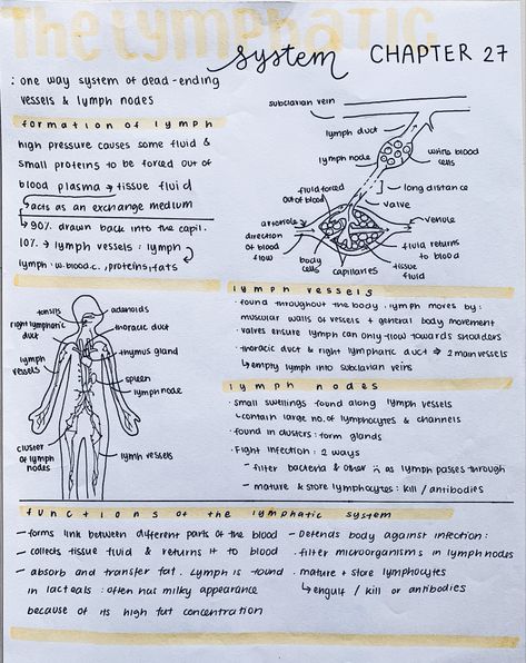 Anatomy And Physiology Notes Muscles, Biology 2 Notes, Medical Terminology Notes Aesthetic, Ap Biology Notes, Biological Molecules, Medical Terminology Study, Biochemistry Notes, Bio Notes, Learn Biology