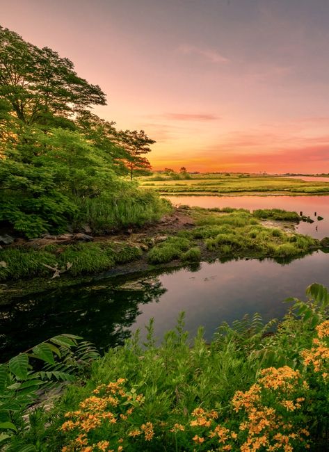 Meadow With River, Scenery Photography, Beach Night, Night View, Little Animals, Sunset Beach, Cute Little Animals, Beach Sunset, Background Images