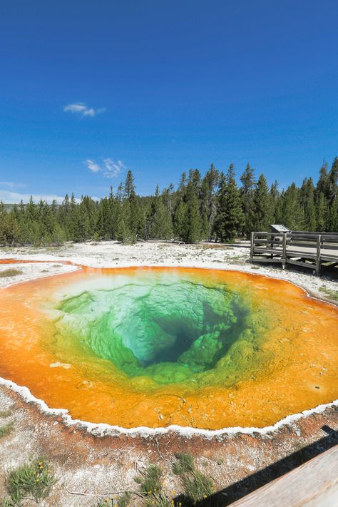 Old Faithful Geyser Loop Trail | GI 365 Old Faithful Geyser, Yellowstone National Park Vacation, Yellowstone Trip, Visit Yellowstone, Grizzly Bears, Into The West, National Park Vacation, Old Faithful, Yellow Stone