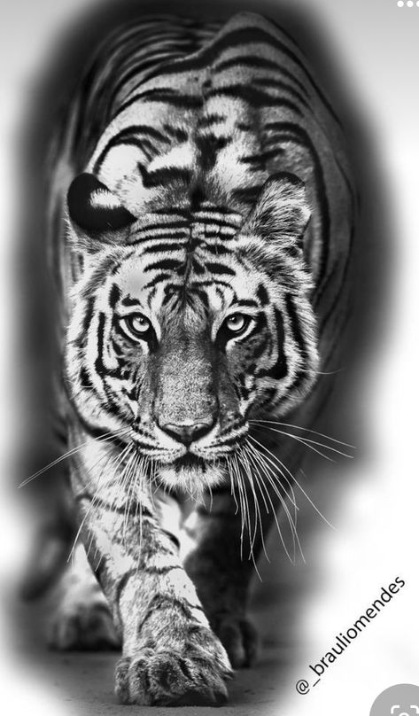 White Tiger Tattoo, Tiger Eyes Tattoo, Lion Art Tattoo, Tiger Tattoo Sleeve, Big Cat Tattoo, Lion Tattoo Sleeves, Realistic Tattoo Sleeve, Lion Head Tattoos, Tiger Tattoo Design