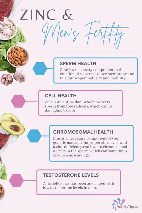 Male Fertility Boost, Fertility Vitamins, Fertility Nutrition, Fertility Tips, Sperm Health, Fertility Foods, Fertility Health, Healthy Hormones, Fertility Diet