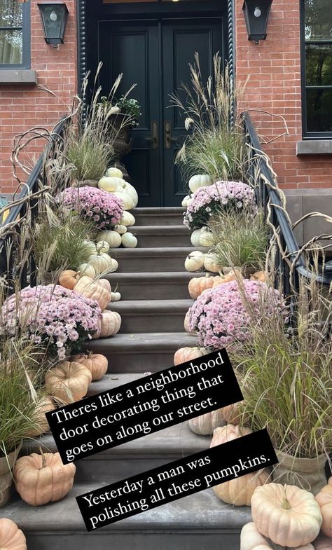 Muted orange pumpkins on a porch with lavender mums with straw White Mums Wedding, Purple Mums, Mums Wedding, White Mums, Muted Orange, Autumn Weddings, Friendly Ghost, Halloween Inspo, Halloween Monster