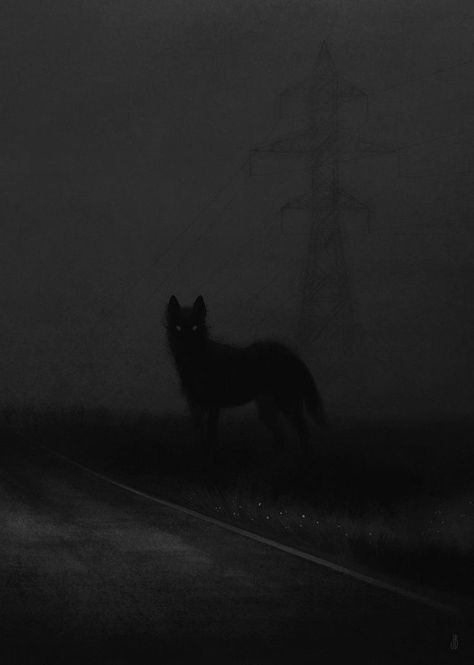 Character Dark Aesthetic, The Quarry Wallpaper, Scary Wolf, Werewolf Aesthetic, Shadow Wolf, Scary Dogs, Scary Animals, Wolf Wallpaper, Lone Wolf